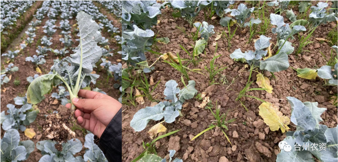 1675665824548698.png 640 (46).png